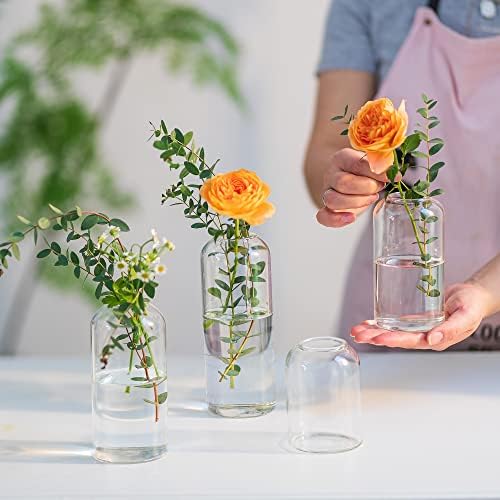 זכוכית ניצן אגרטלים לפרחים-פוצץ מודרני קטן זכוכית אגרטלים לסידורי סט של 6, מיני ברור בתפזורת פרח אגרטלים לחתונה מסיבת