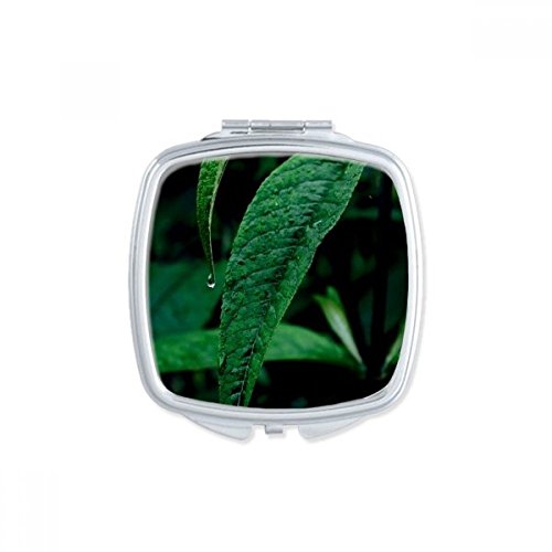 טבע צילום כיכר מראה נייד קומפקטי כיס איפור כפול צדדי זכוכית
