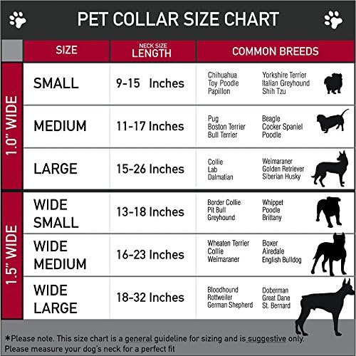 צווארון כלבים מרטינגייל נסיכה דיסני בלוקים 11 עד 17 אינץ 'ברוחב 1.0 אינץ'
